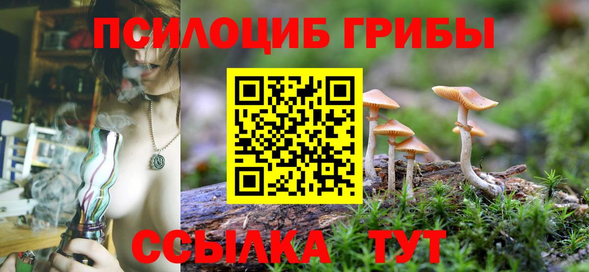Острогожск  Псилоцибиновые грибы Cubensis  Галлюциногенные грибы Magic Shrooms  Вход с VPN 